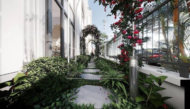 Vườn nhà đẹp, độc đáo với dàn hoa leo nở đẹp.